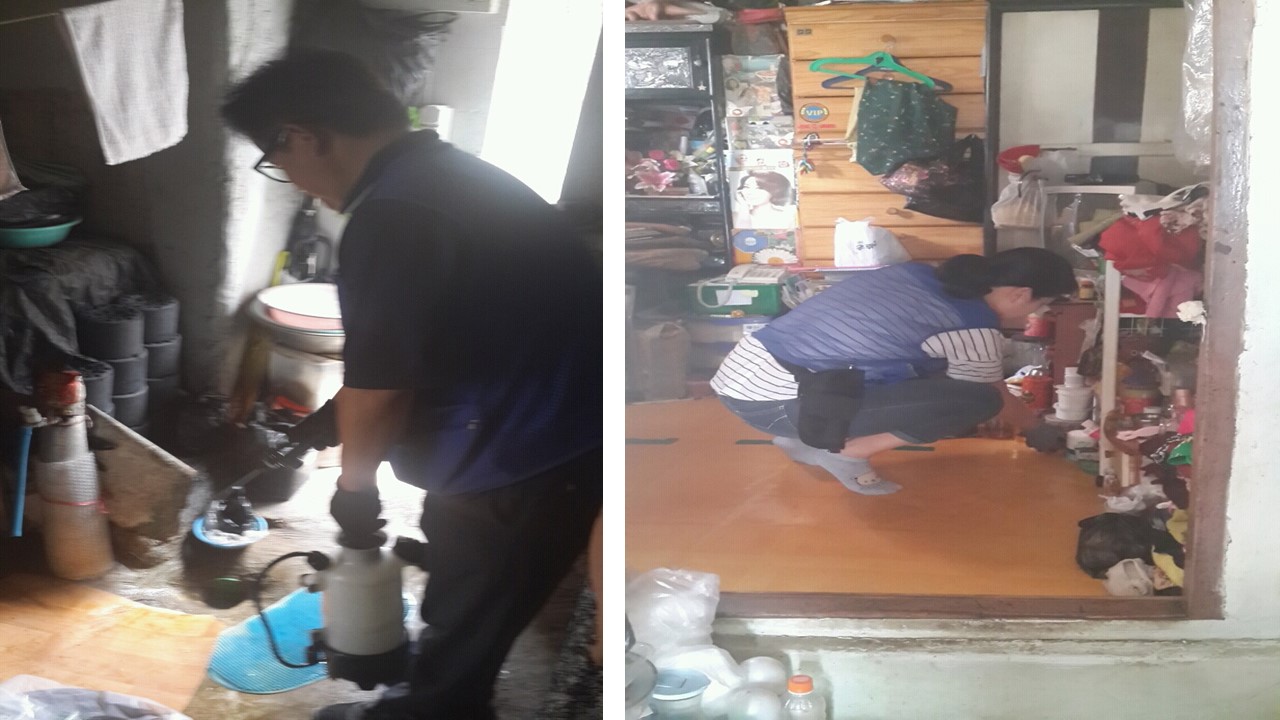 2016 2차 방역서비스